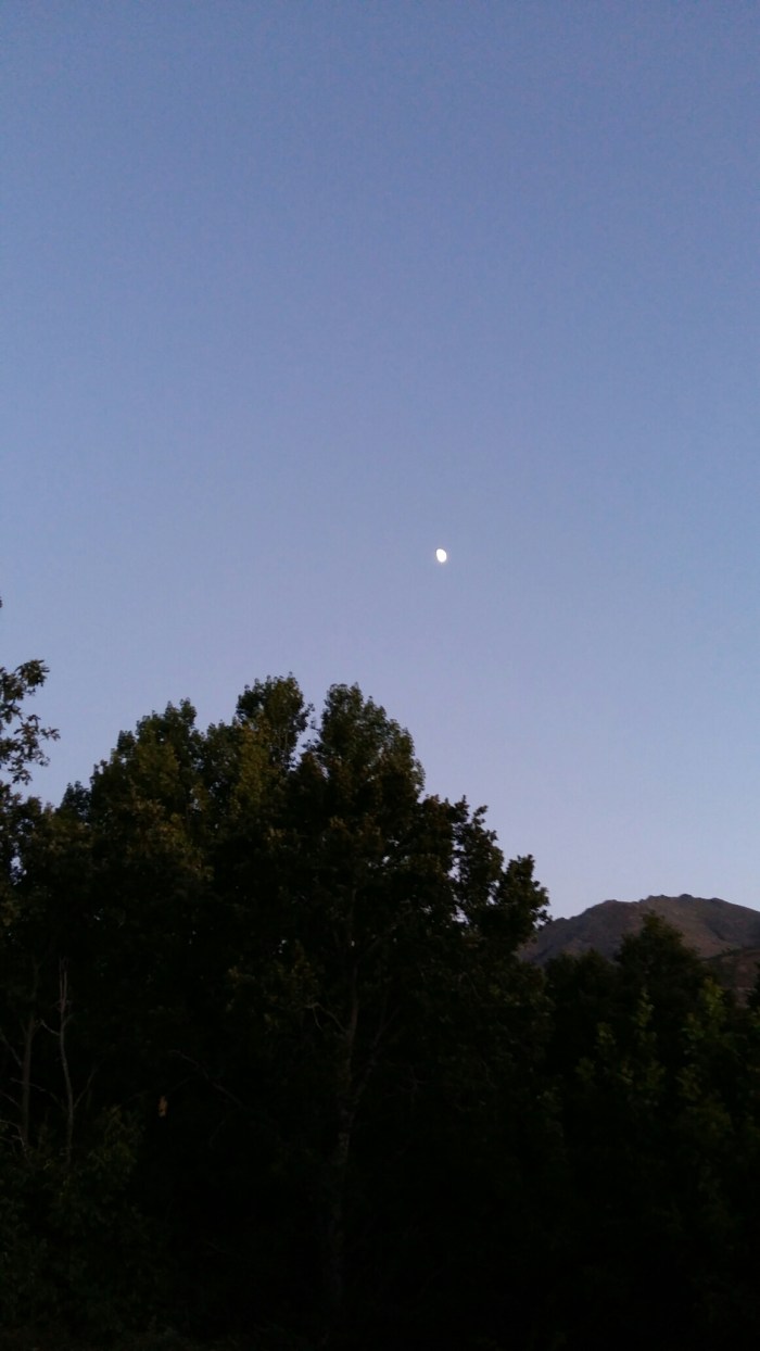 wp-1457104743192 image