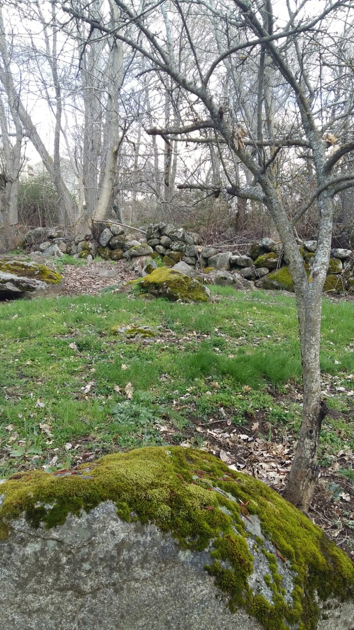 20160405_173551.jpg image